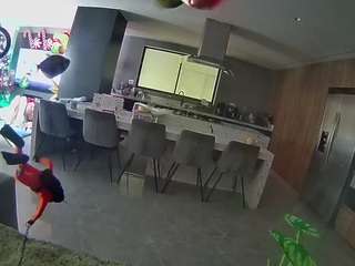 voyeurcam casa salsa fishtank